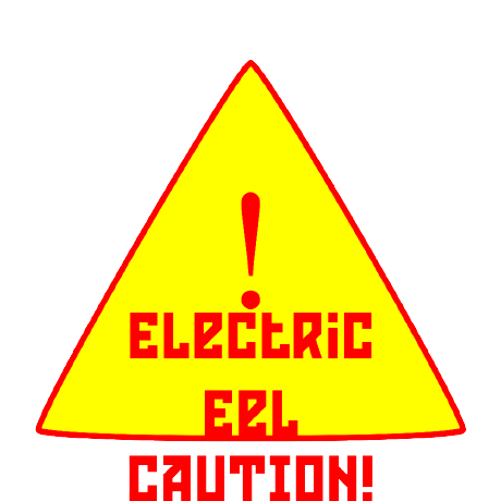 @ElectricEelStudio