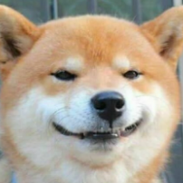 @Leooooooow