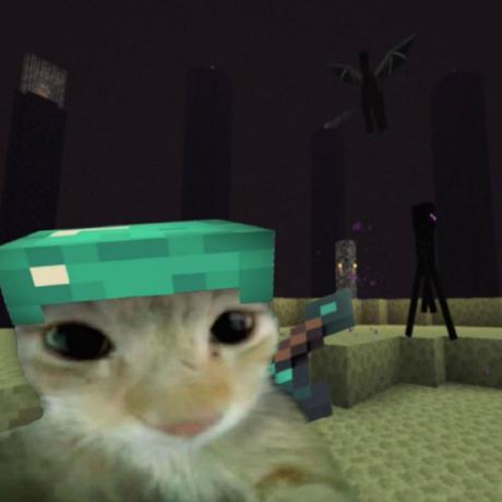 @p-v-dev