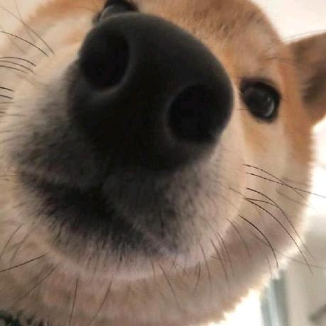 @huangtz