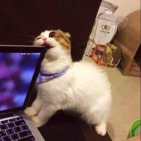 @luoyixin2019