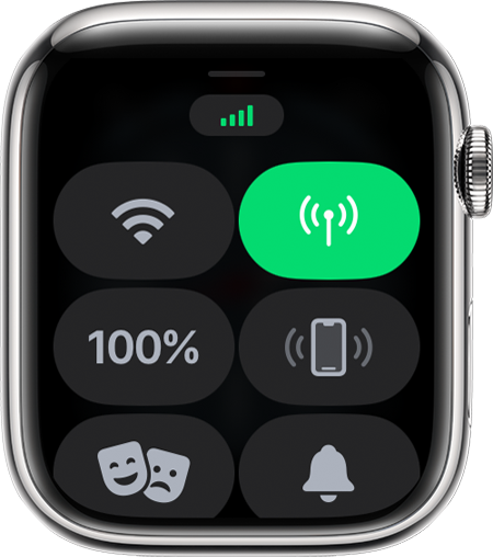 ืืืช ืกืืืืจื ืืื ื'ืืจืื ืืืงืจื' ื-Apple Watch.