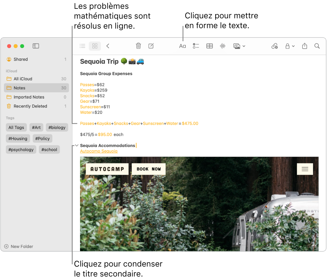 Une fenĂȘtre de lâapp Notes affichant des calculs pour les dĂ©penses de Sequoia Camp, un lien textuel vers un site web et une photo des logements.