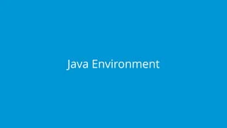 Java Environment
 