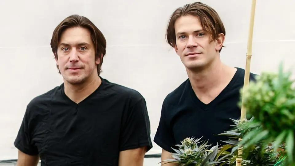 The Kings Of CBD Are Now Cooking Up Plans To Make Billion-Dollar Meds From Cannabis And Mushrooms