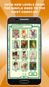Screenshot image