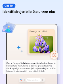 Slika snimke zaslona