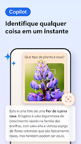 Imagem da captura de tela