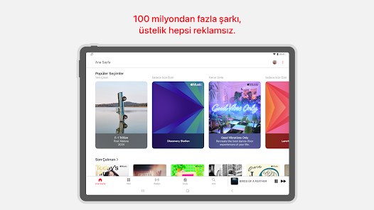 Ekran görüntüsü resmi