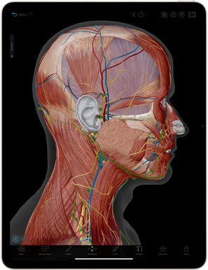 De Complete Anatomy-app op een iPad Air
