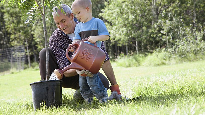 Grandfather with grandson watering a potted tree